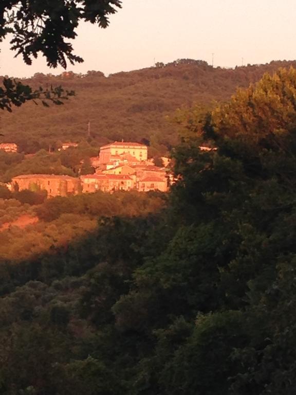 Al Casale Dei Nonni Bed & Breakfast Laureana Cilento Ngoại thất bức ảnh